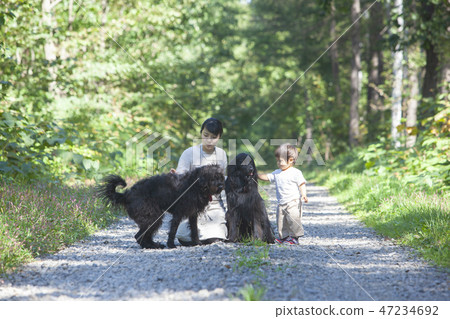 父母和孩子和狗一起玩 47234692