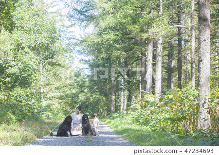 父母和孩子和狗一起玩 47234693