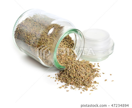 Anise, also called aniseed or Pimpinella anisum. 47234894