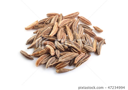 Caraway or Carum carvi seed isolated 47234994