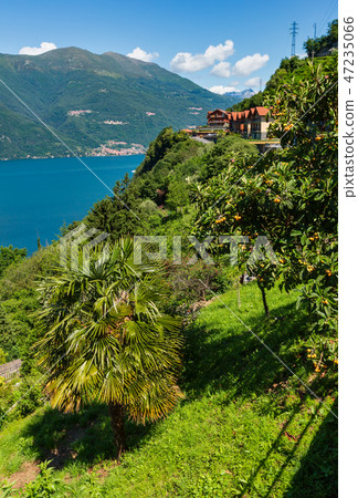 Lake Como summer view, Italy Lake Como summer view, Italy 47235066
