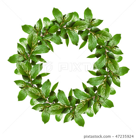 Spring wreath with green leaves and flower buds 47235924
