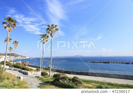 Miura Peninsula 47236017