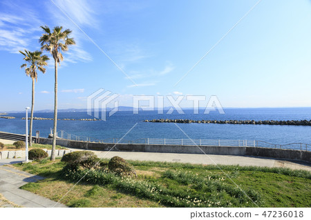 三浦半島 47236018