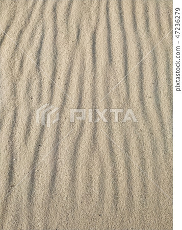 Beautiful sandy beach, background 47236279