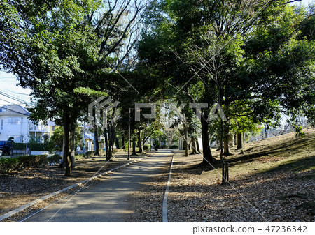 Yokohama Tsuzuki Ward Kawawa boardwalk green path Yokohama Tsuzuki Ward Kawawa boardwalk green path 47236342