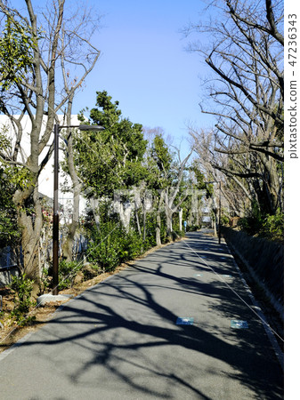 Yokohama Tsuzuki Ward Kawawa boardwalk green path Yokohama Tsuzuki Ward Kawawa boardwalk green path 47236343