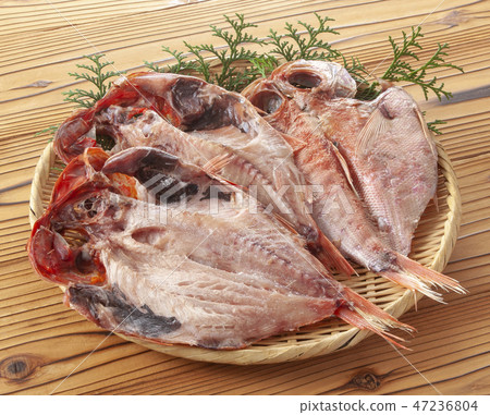 乾和服海鯛 乾和服海鯛 47236804