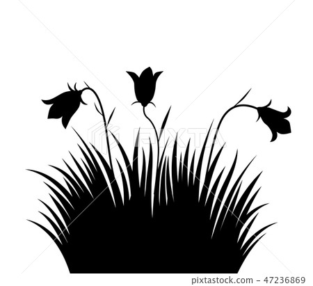 Vector illustration grass and flowers background Vector illustration grass and flowers background 47236869
