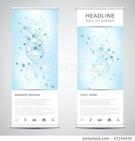 Roll up banner stands with DNA strand and molecular structure. Genetic engineering or laboratory 47236939