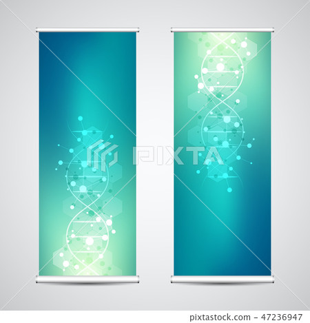 Roll up banner stands with DNA strand and molecular structure. Genetic engineering or laboratory Roll up banner stands with DNA strand and molecular structure. Genetic engineering or laboratory 47236947