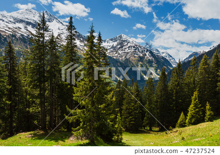 Alps mountain summer view, Austria Alps mountain summer view, Austria 47237524