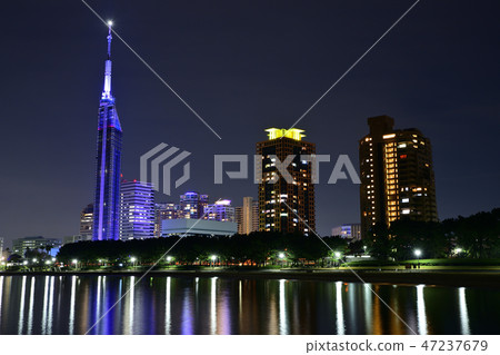 福岡市福岡塔夜景 福岡市福岡塔夜景 47237679