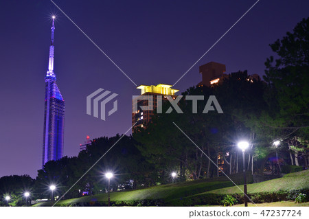 福岡市福岡塔夜景 福岡市福岡塔夜景 47237724