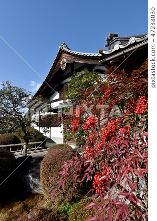 Kinkaku Komyuji Temple Toato Eisen-in 47238030