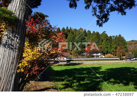 Fall temple Fall temple 47238097