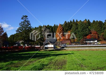 Fall temple 47238099