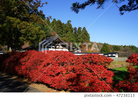 Fall temple Fall temple 47238113