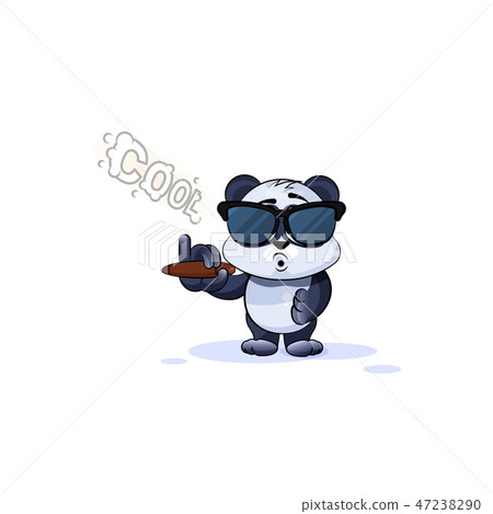 panda bear in sunglasses smoking cigar 47238290