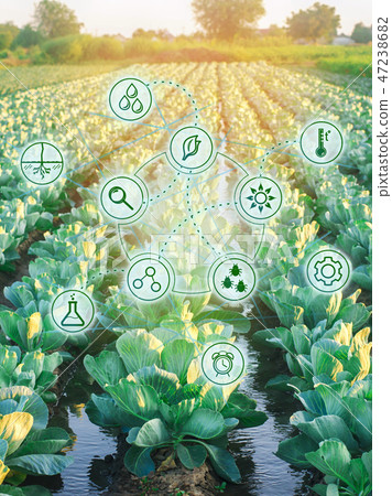 High technologies and innovations in agro-industr 47238682