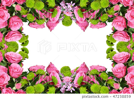 Pink roses and aster flowers for floral frame Pink roses and aster flowers for floral frame 47238859