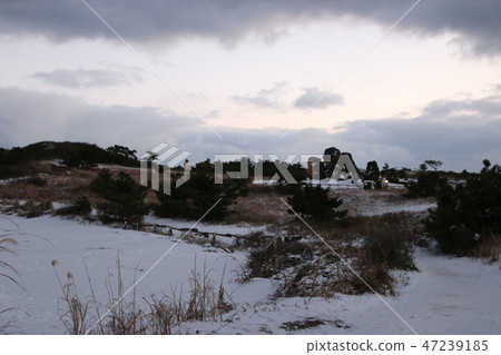 雪，冬天， 47239185