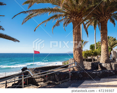 Puerto del Carmen, Lanzarote, Canary islands Puerto del Carmen, Lanzarote, Canary islands 47239307