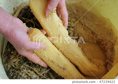 Pickled pickles 47239422