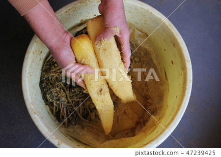 Pickled pickles 47239425