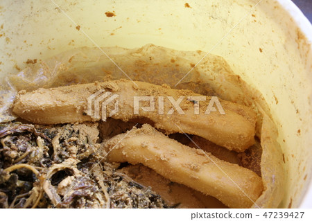 Pickled pickles Pickled pickles 47239427