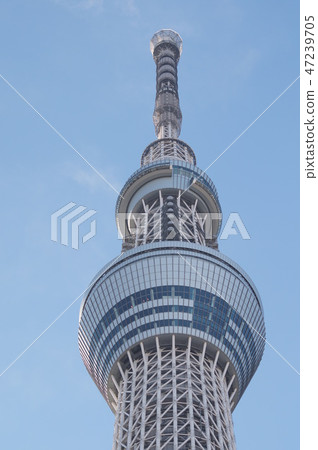 Tokyo Sky Tree Tokyo Sky Tree 47239705