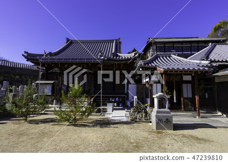 Onomichi old temple tour Shonenji main hall Onomichi old temple tour Shonenji main hall 47239810