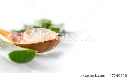 Slices of aloe vera with gel on white background Slices of aloe vera with gel on white background 47240326