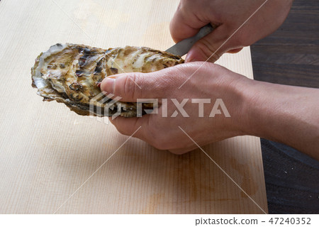 剝牡蠣殼 剝牡蠣殼 47240352
