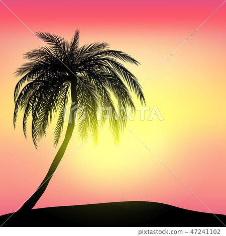 Sunset and tropical palm trees background Sunset and tropical palm trees background 47241102