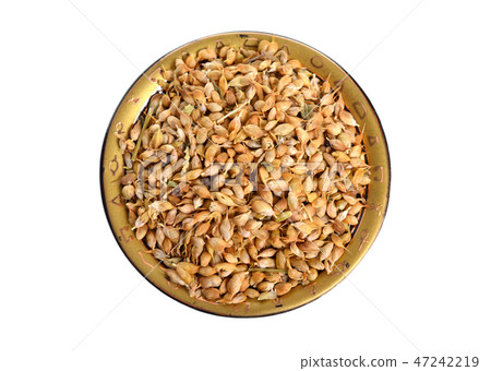Trigonella caerulea or blue fenugreek. Trigonella caerulea or blue fenugreek. 47242219