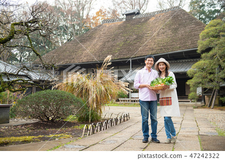 農業夫婦菜農夫圖像 47242322