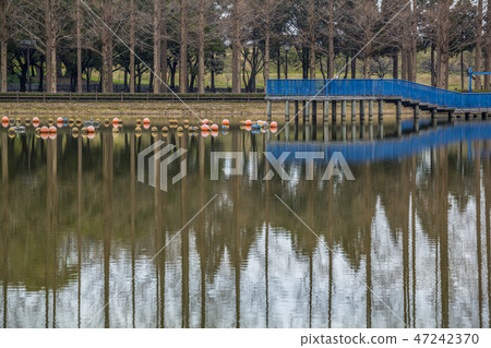 Aichi Prefecture Nagoya City Shonai Green Park 47242370