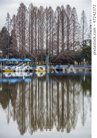 Aichi Prefecture Nagoya City Shonai Green Park 47242372