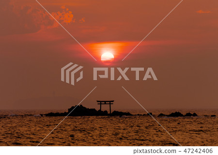 Sunset falling on the Torii and Enoshima Island on Hayamana Island 47242406