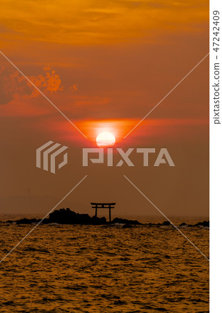 Sunset falling on the Torii and Enoshima Island on Hayamana Island 47242409