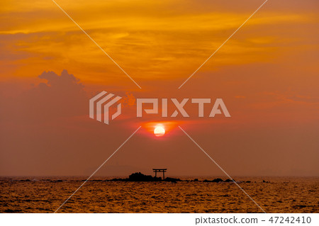 Sunset falling on the Torii and Enoshima Island on Hayamana Island 47242410