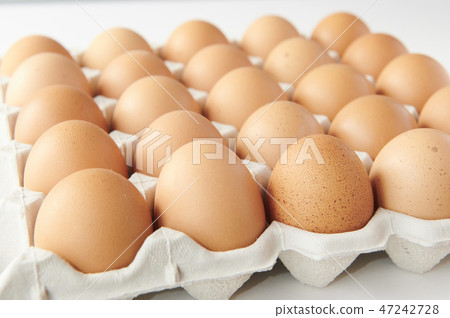 An egg An egg 47242728