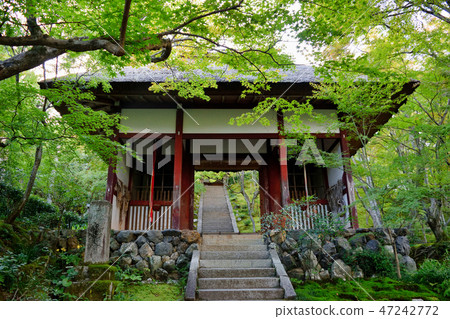 Tokoku Kouji Temple Niohmon (Kyoto) Tokoku Kouji Temple Niohmon (Kyoto) 47242772
