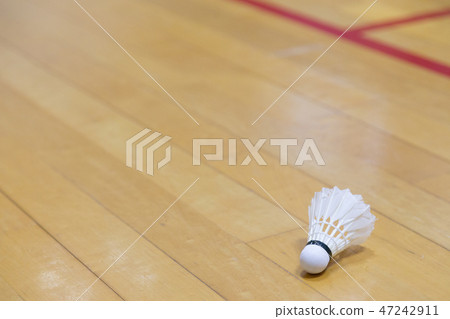 Gymnasium and shuttle 47242911