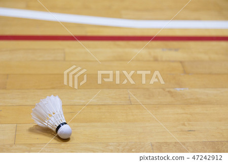 Gymnasium and shuttle 47242912