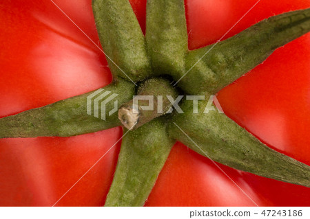 Ripe tomato top view. 47243186