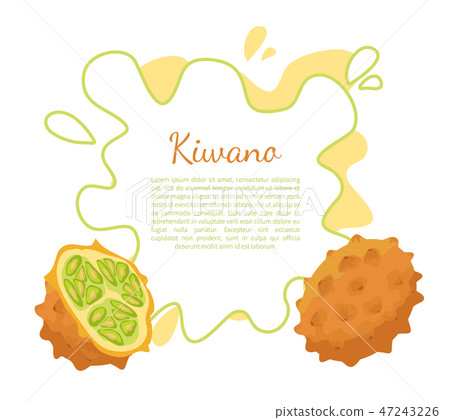 Kiwano Exotic Juicy Fruit Vector Isolated Poster 47243226