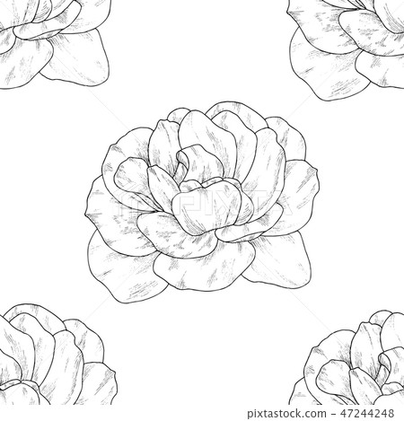 Seamless pattern. Plant in blossom Seamless pattern. Plant in blossom 47244248