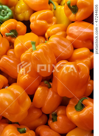 Stunning orange bell pepper in supermarket 47244606